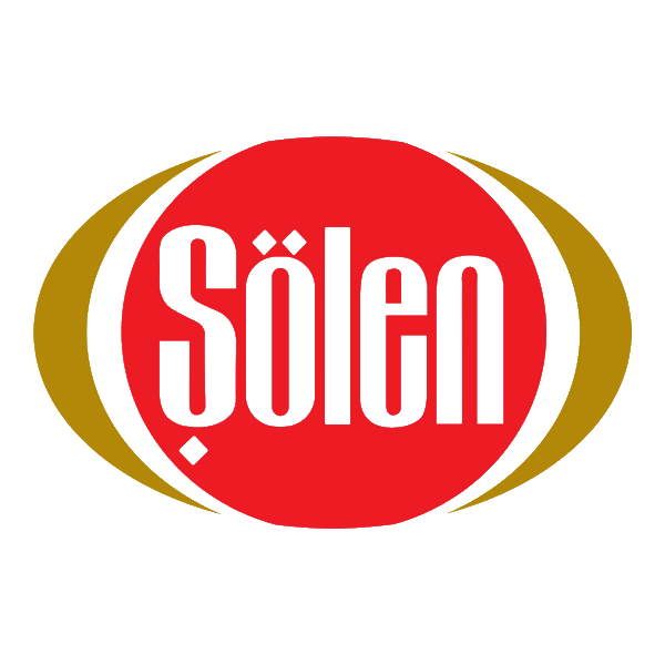 Şölen